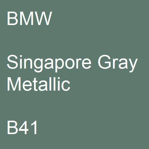 BMW, Singapore Gray Metallic, B41.